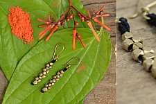 स्वर्णा ❂ Brass Jewellery ❂ Earrings { 4 }